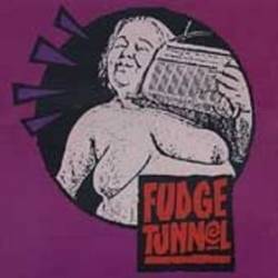 Fudge Tunnel : Fudgecake